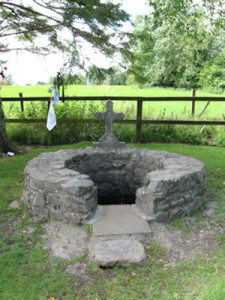 Brigid's well Kildare2